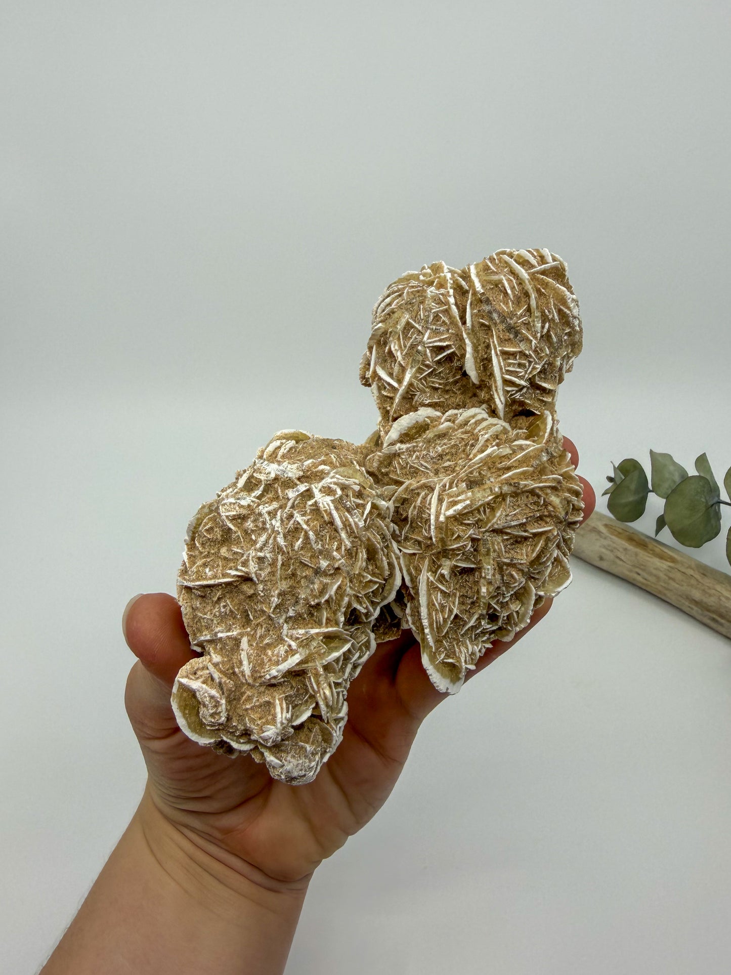 Desert Rose Selenite Specimen