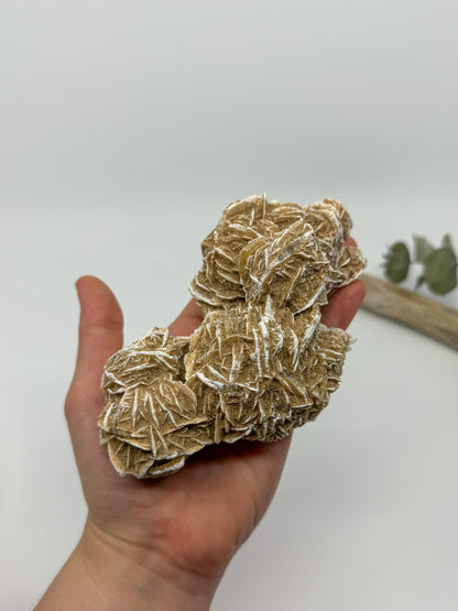 Desert Rose Selenite Specimen