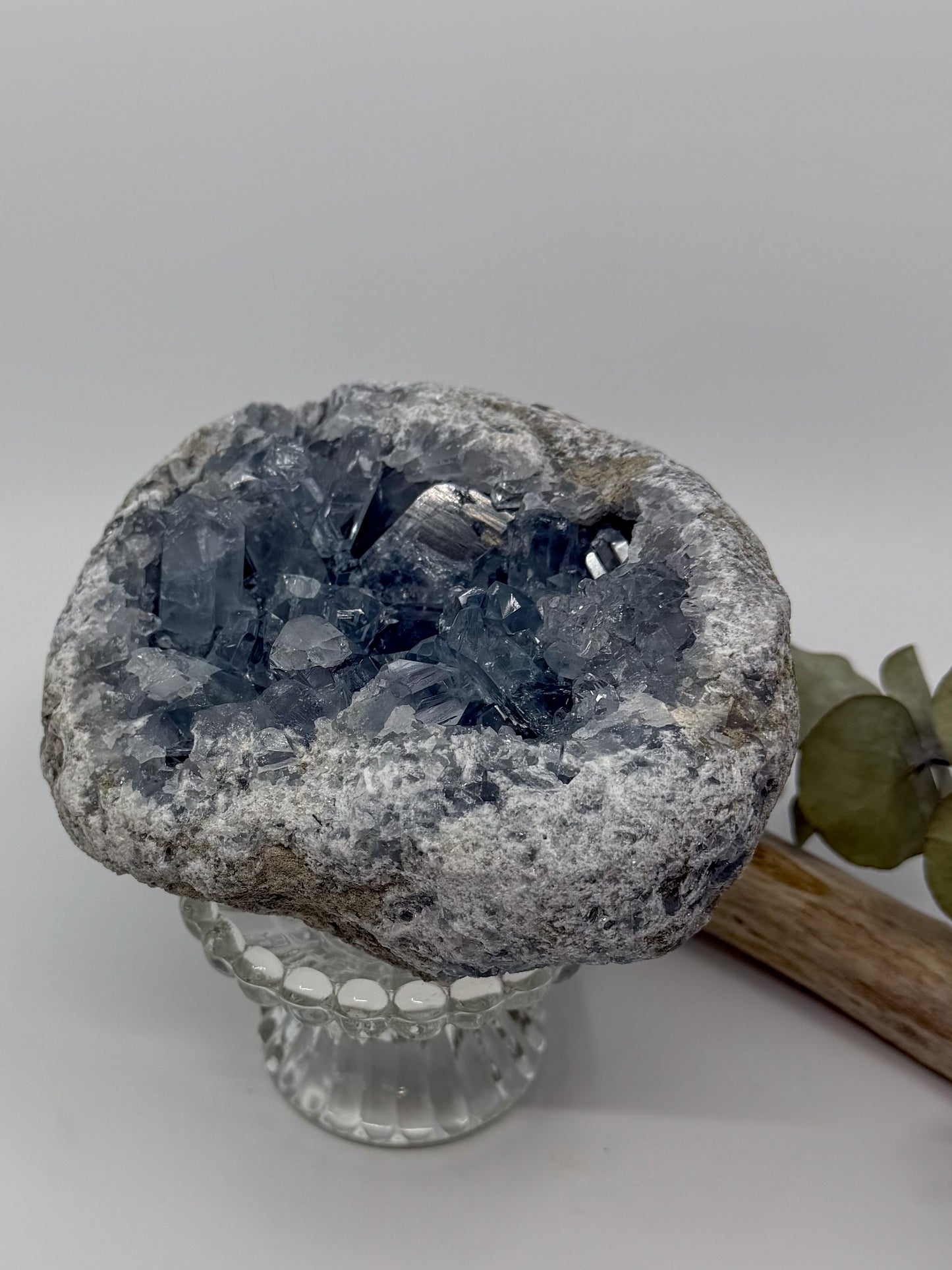 Statement High Quality Celestite ft. Elongated Gemmy Points and Termination