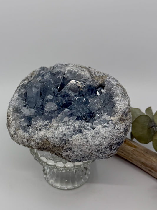 A natural crystal Celestine Celestite geode specimen with light blue translucent crystals set in a rough gray and white matrix, displayed on a clear glass pedestal stand against a light gray background.