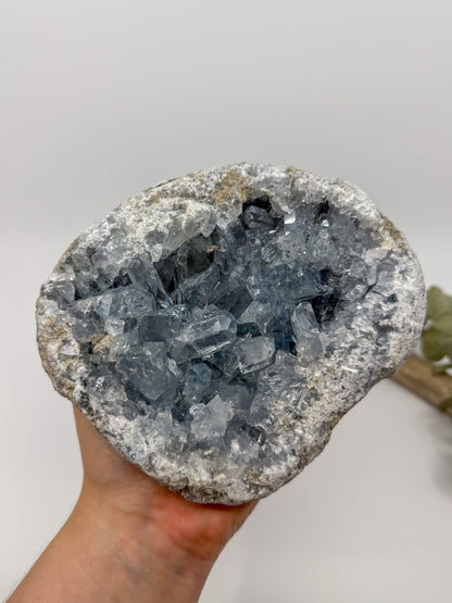 Statement High Quality Celestite ft. Elongated Gemmy Points and Termination