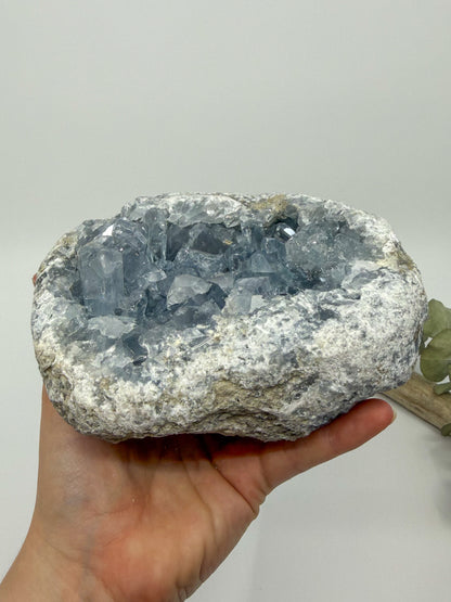 Statement High Quality Celestite ft. Elongated Gemmy Points and Termination