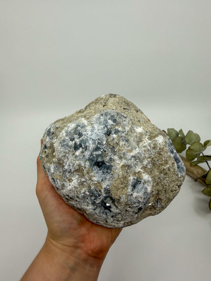 Statement High Quality Celestite ft. Elongated Gemmy Points and Termination