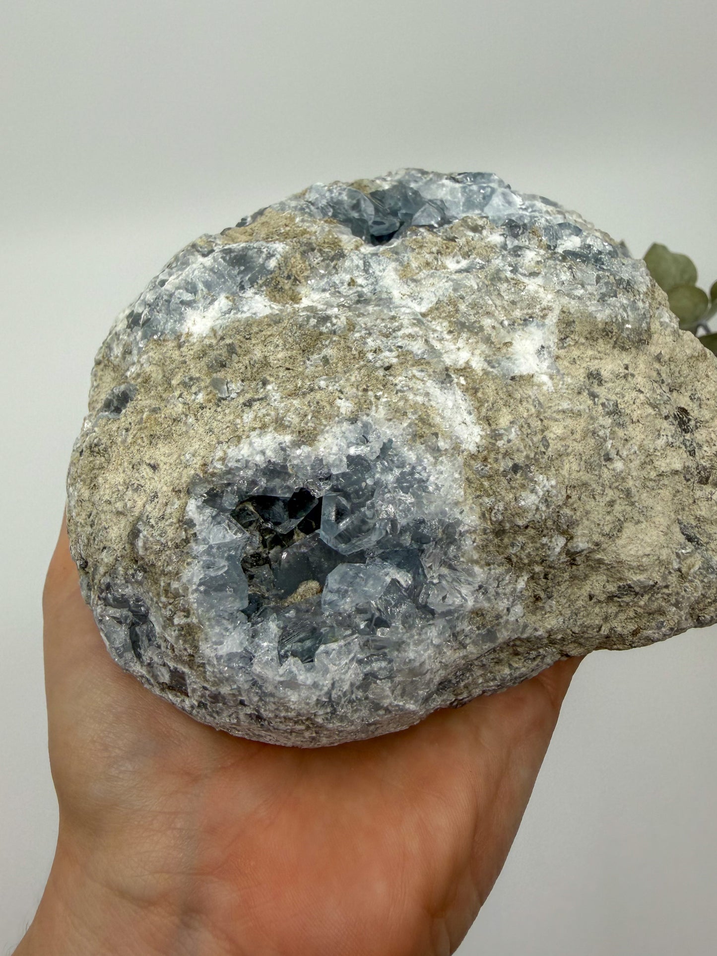 Statement High Quality Celestite ft. Elongated Gemmy Points and Termination
