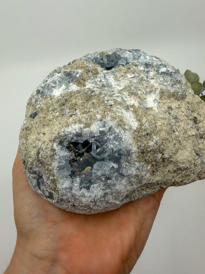 Statement High Quality Celestite ft. Elongated Gemmy Points and Termination