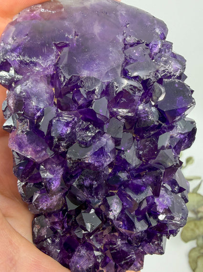 Amethyst Cutbase | Uruguay -EXACT PIECE-