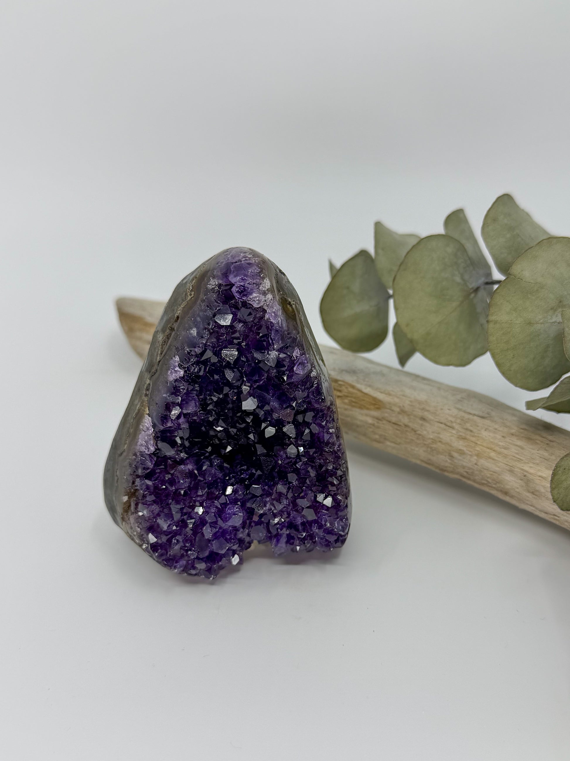 A raw amethyst geode specimen with a polished purple crystal cavity and rough outer matrix, displayed on a small piece of driftwood with dried green leaves against a clean white background.