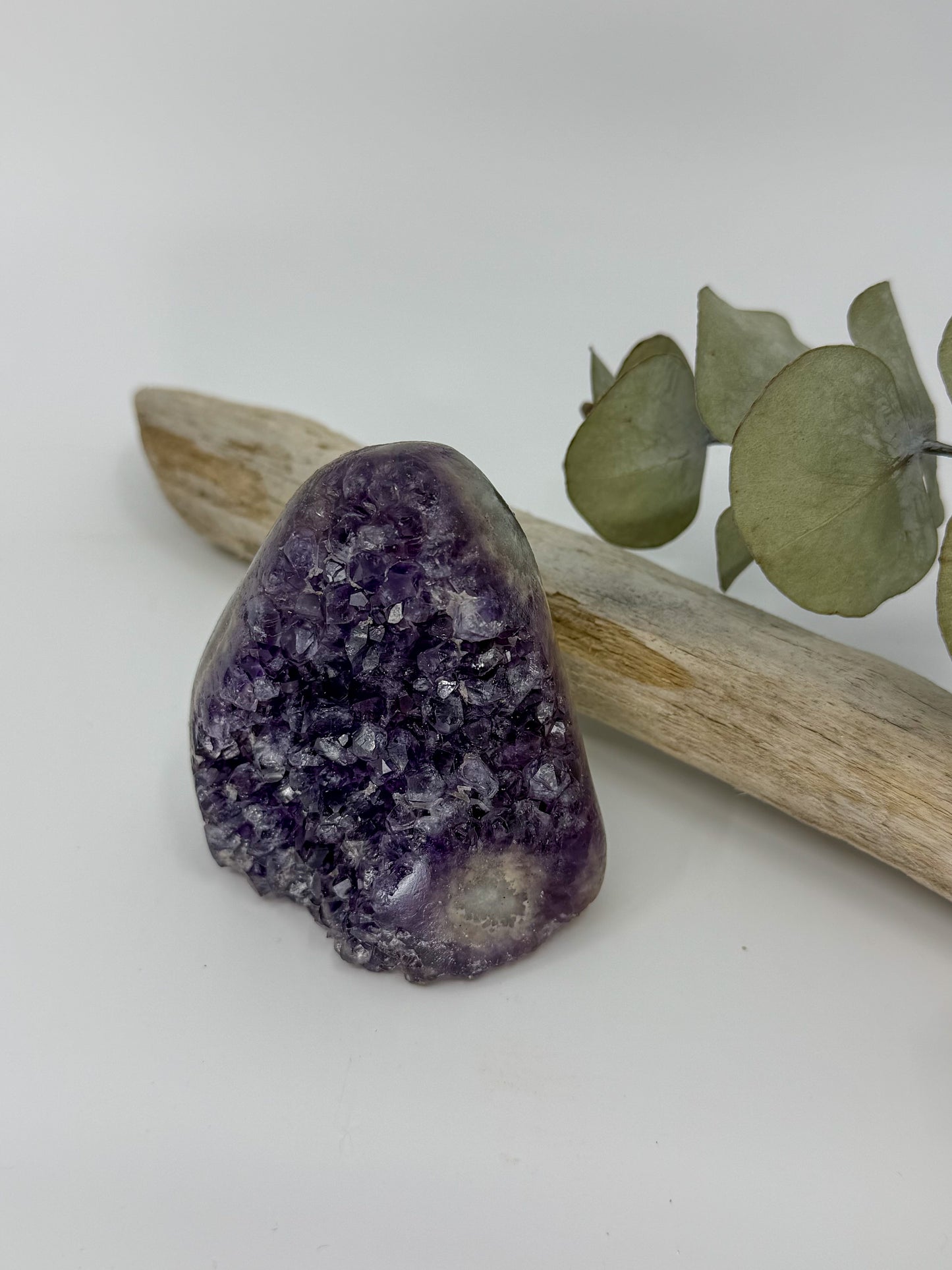 A polished purple amethyst crystal cluster resting on a light beige driftwood log with dried green eucalyptus leaves, set against a clean white background.
