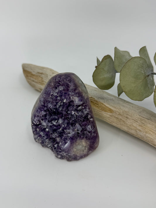 A polished purple amethyst crystal cluster resting on a light beige driftwood log with dried green eucalyptus leaves, set against a clean white background.