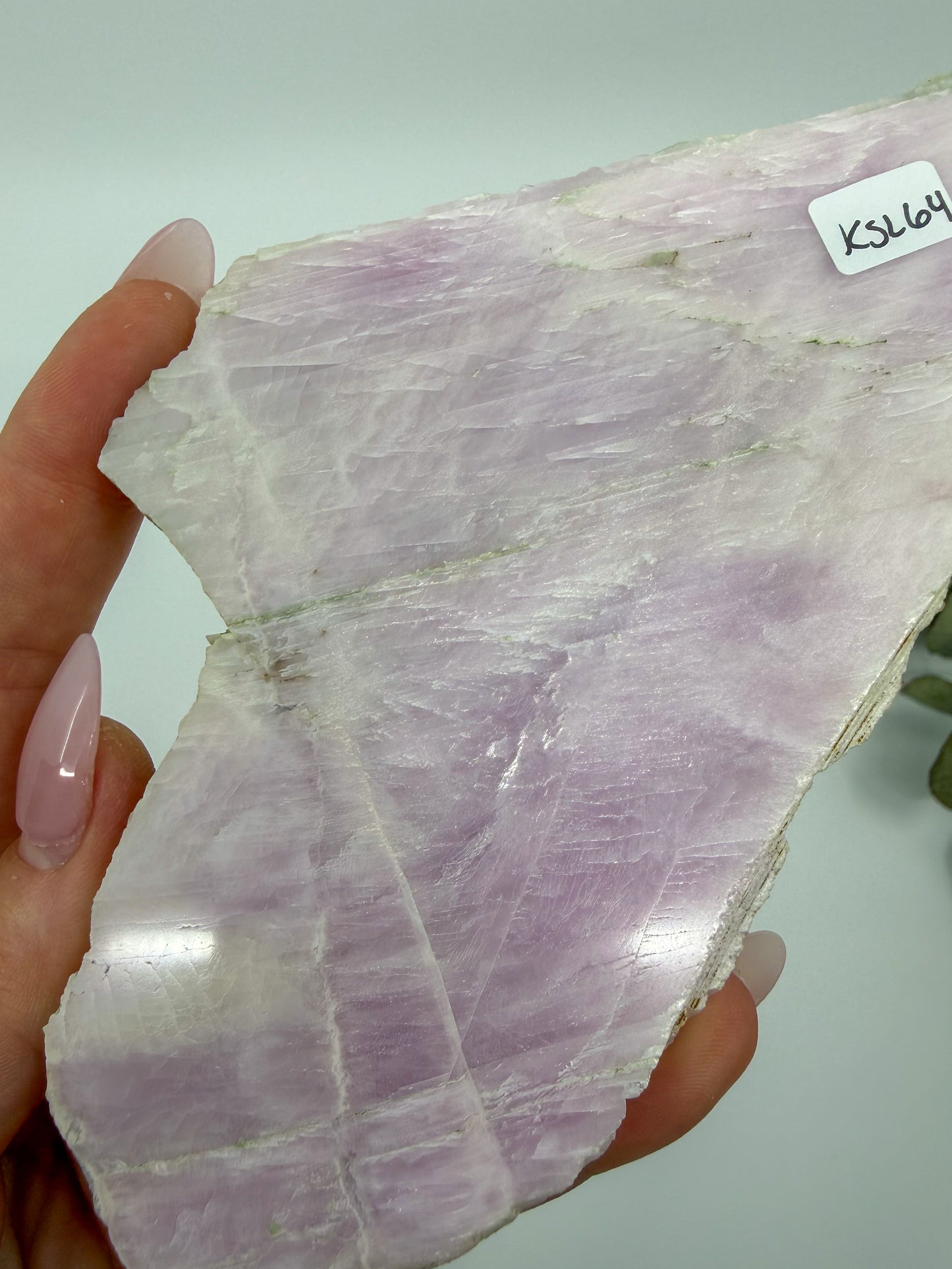 Kunzite Slab -EXACT PIECE-