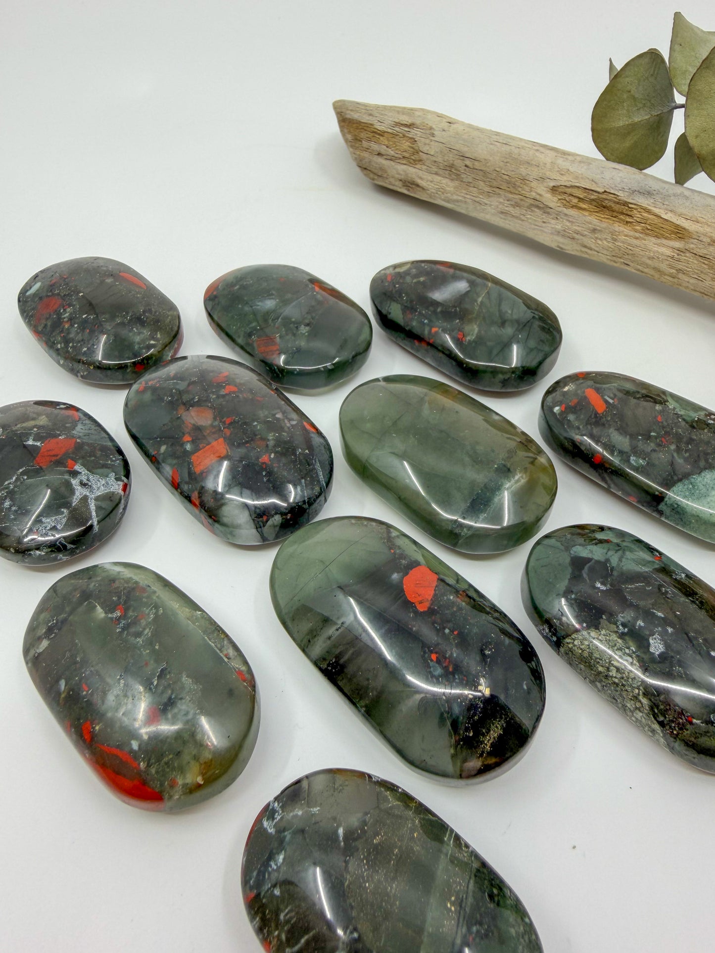 African Bloodstone Palm