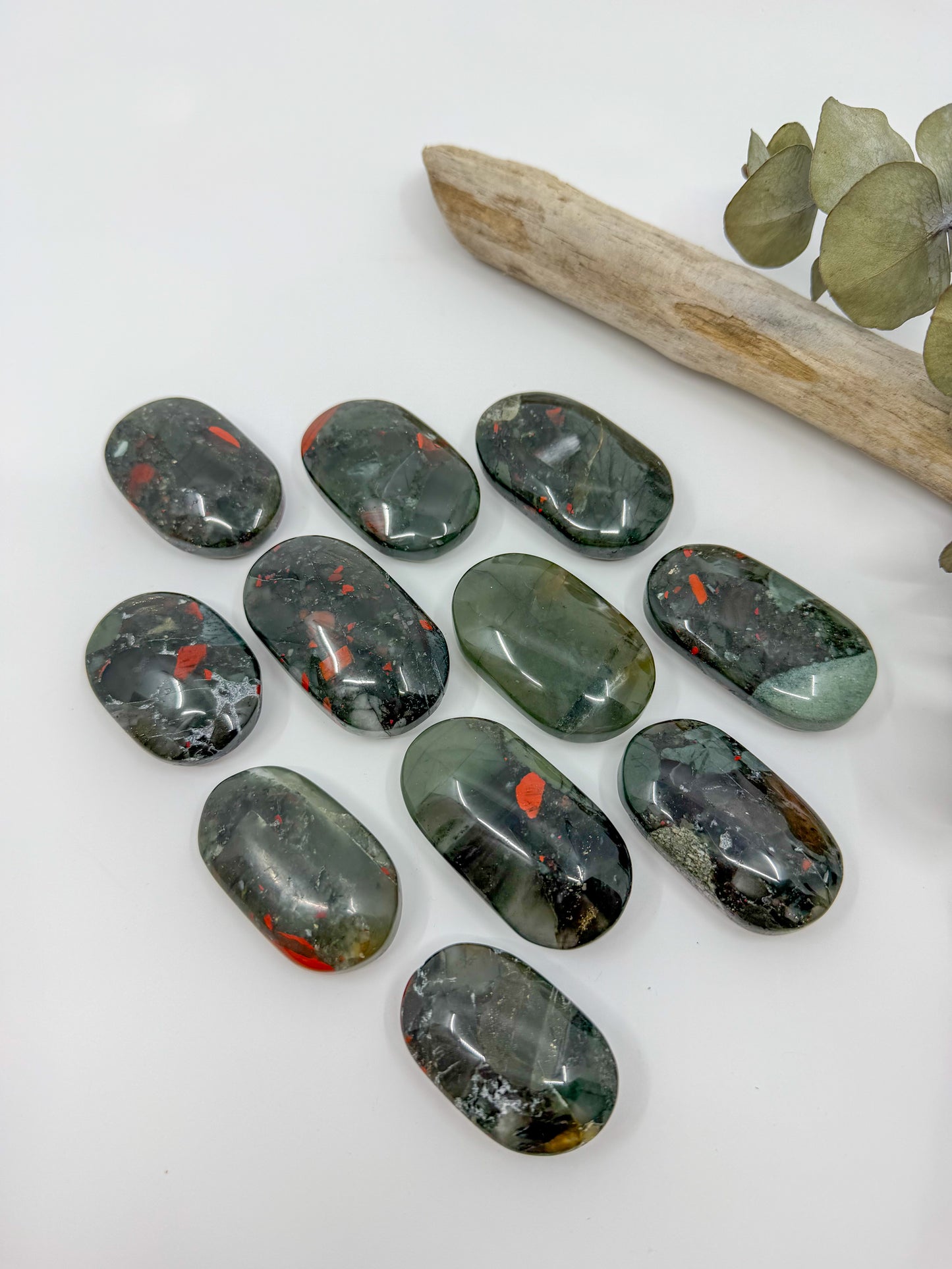 African Bloodstone Palm