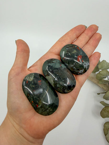 African Bloodstone Palm