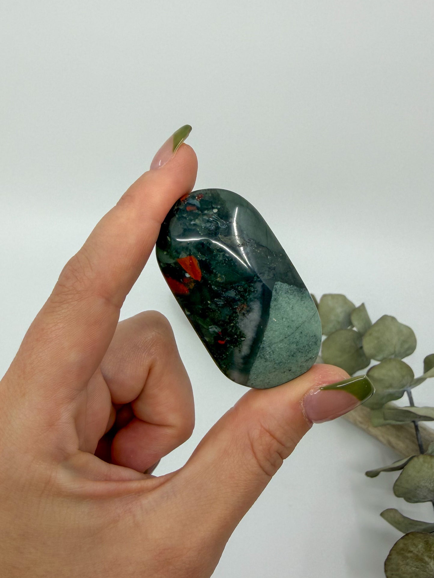 African Bloodstone Palm