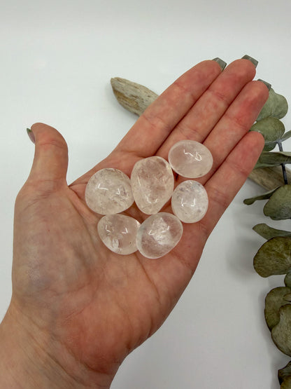Five polished white quartz gemstones held in a person's open palm, with dried eucalyptus leaves in the background against a plain white surface.