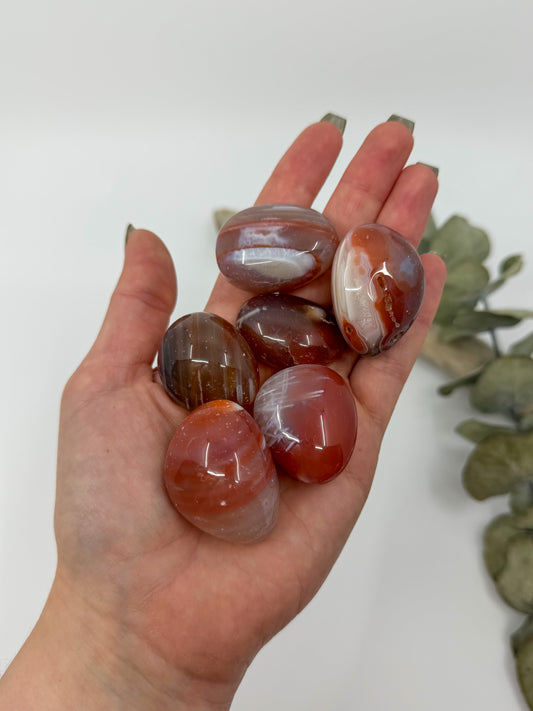 Banded Red Agate Tumble