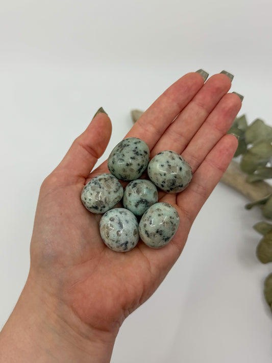 Kiwi Jasper Tumble
