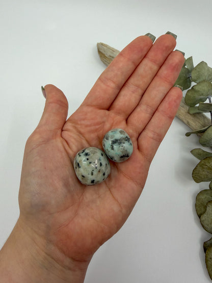 Kiwi Jasper Tumble