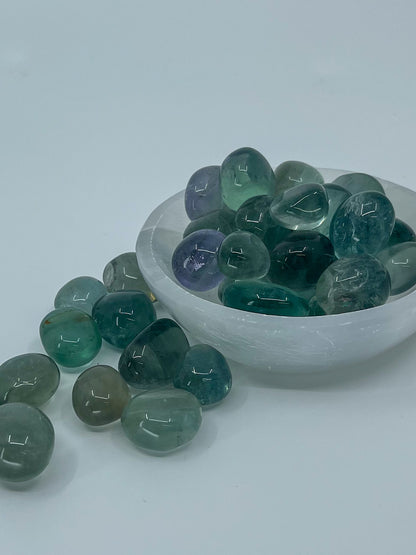Fluorite Tumble • High Clarity