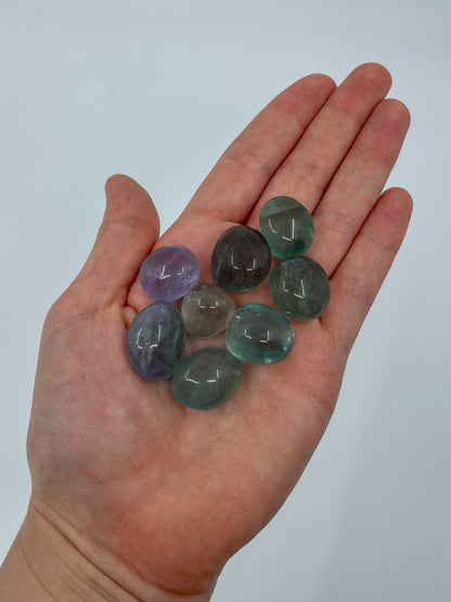 Fluorite Tumble • High Clarity