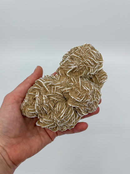 Desert Rose Specimen
