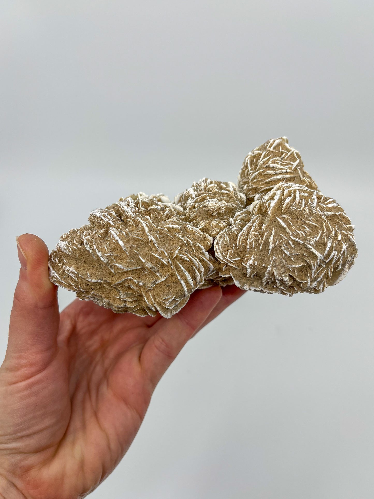 Desert Rose Specimen