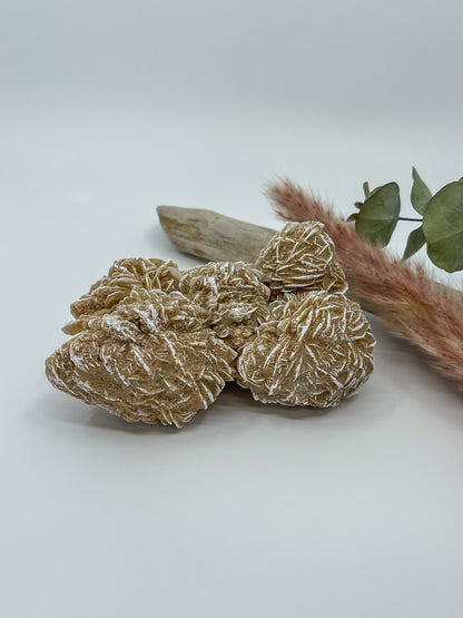Desert Rose Specimen