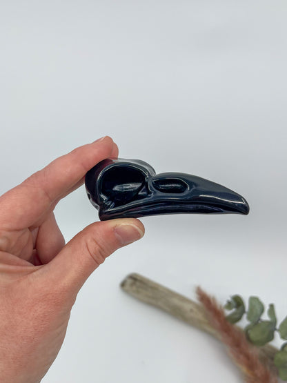 Obsidian Raven Skull