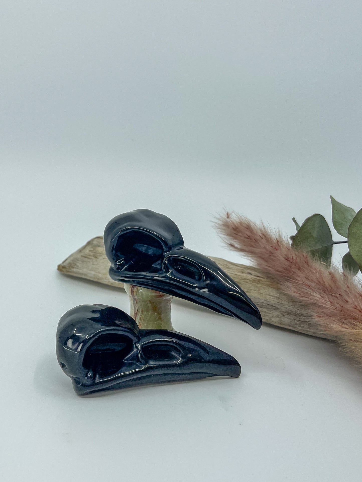 Obsidian Raven Skull
