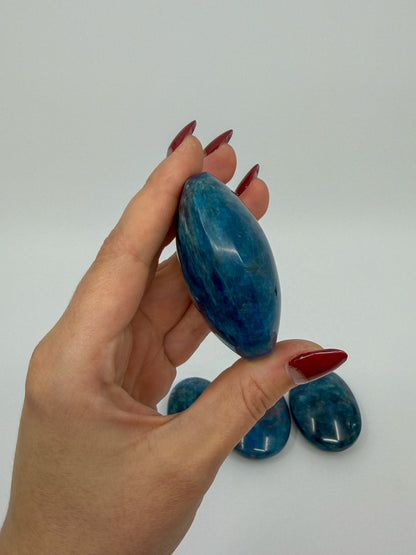 Blue Apatite Palm