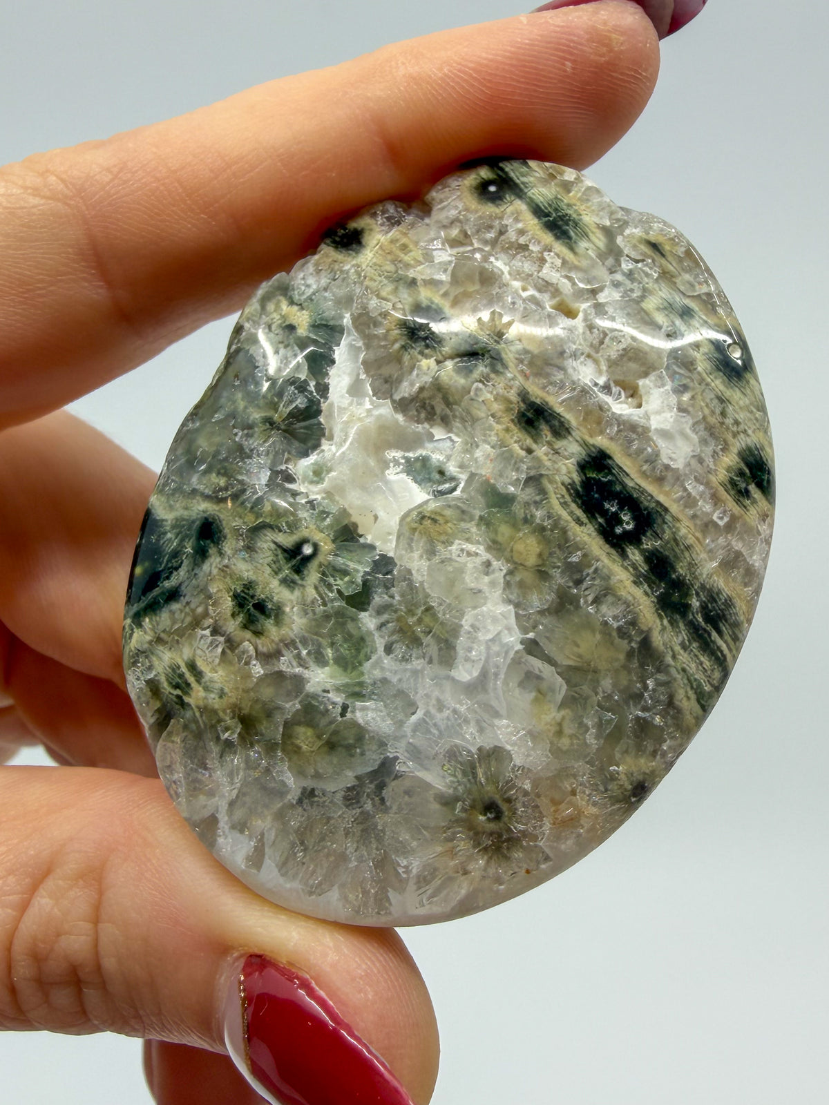 Crystallized Orbicular Ocean Jasper Palm -EXACT PIECE-