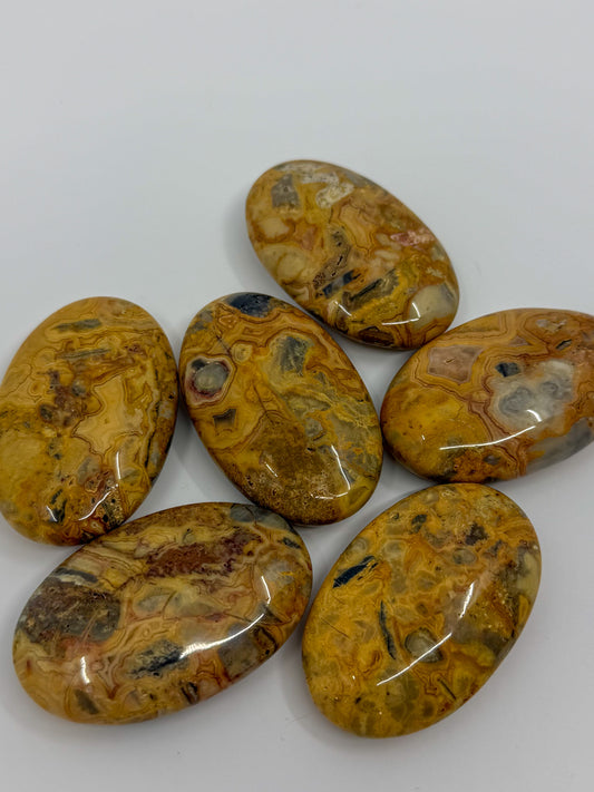 Crazy Lace Agate Palm