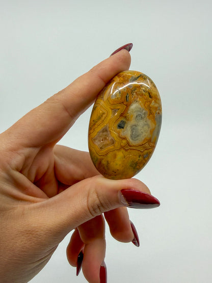 Crazy Lace Agate Palm