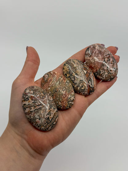 Leopardskin Jasper Palm