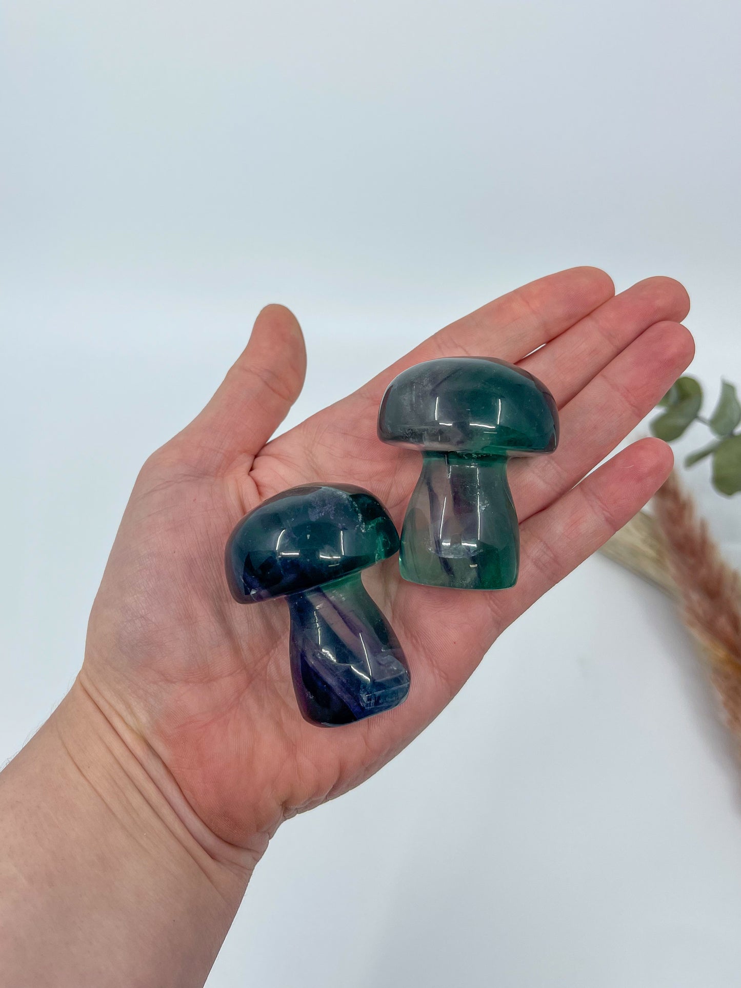 Rainbow Fluorite Mushroom