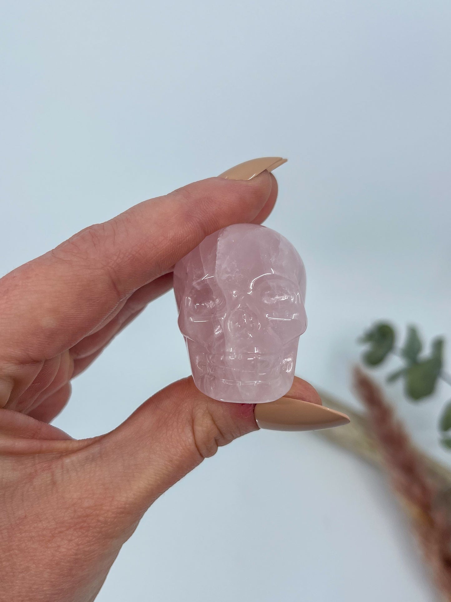 Rose Quartz Skull