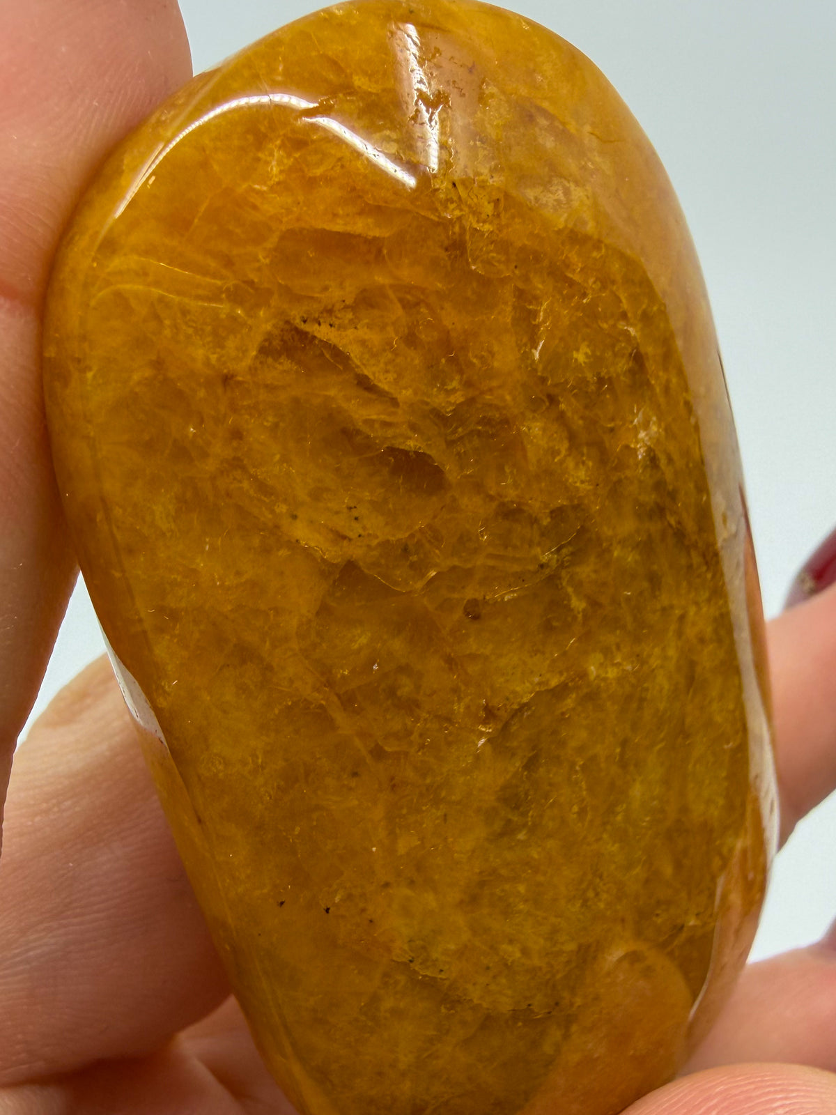 Golden Healer Palm -EXACT PIECE-