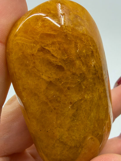 Golden Healer Palm -EXACT PIECE-