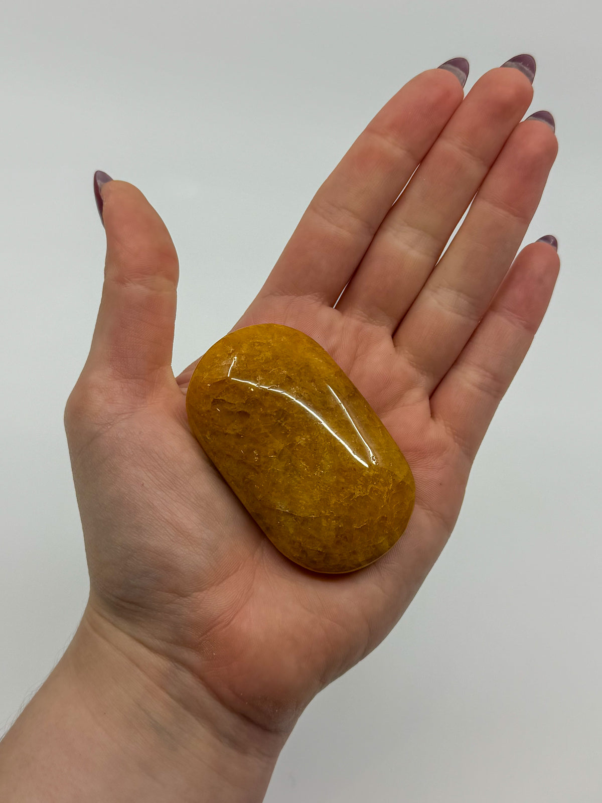 Golden Healer Palm -EXACT PIECE-
