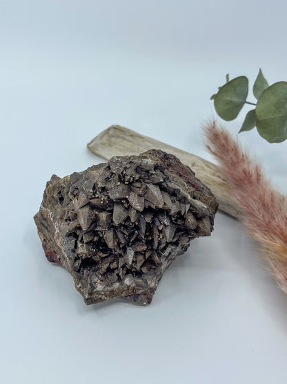 Statement Dogtooth Calcite • Chihuahua, Mexico