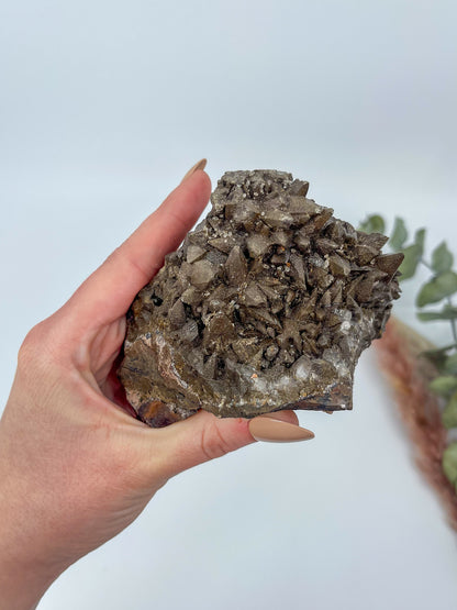 Statement Dogtooth Calcite • Chihuahua, Mexico