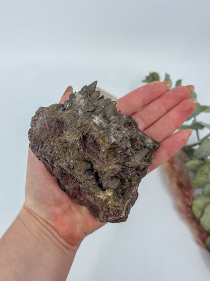 Statement Dogtooth Calcite • Chihuahua, Mexico