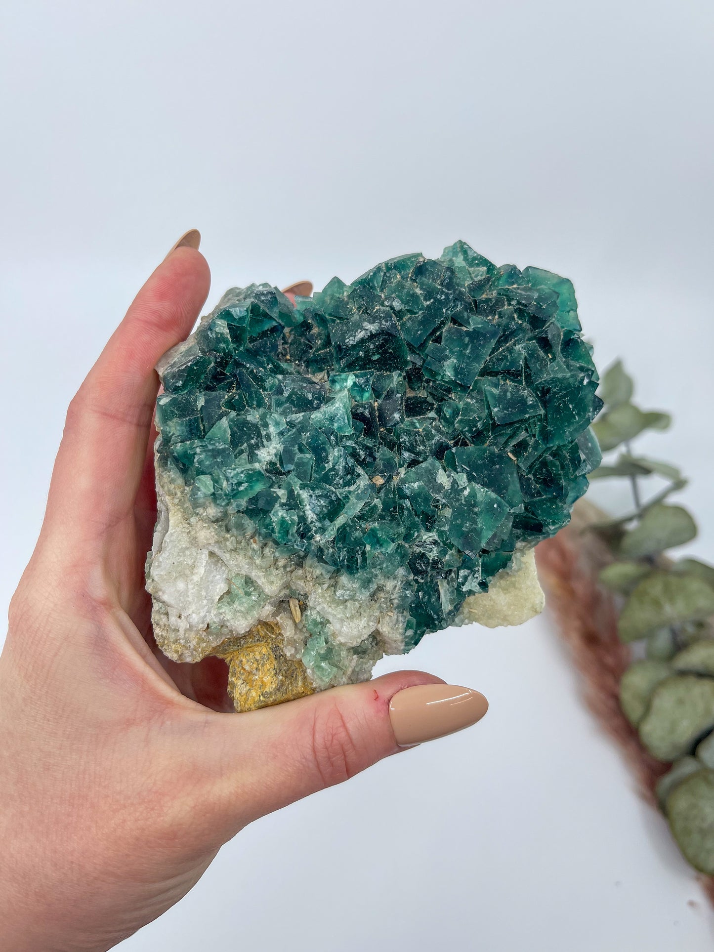 Cubic Green Fluorite • Madagascar