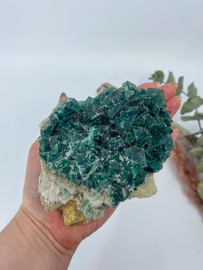 Cubic Green Fluorite • Madagascar