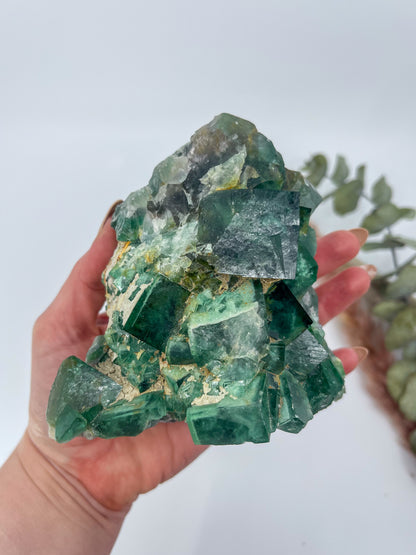 Statement Cubic Green Fluorite • Madagascar