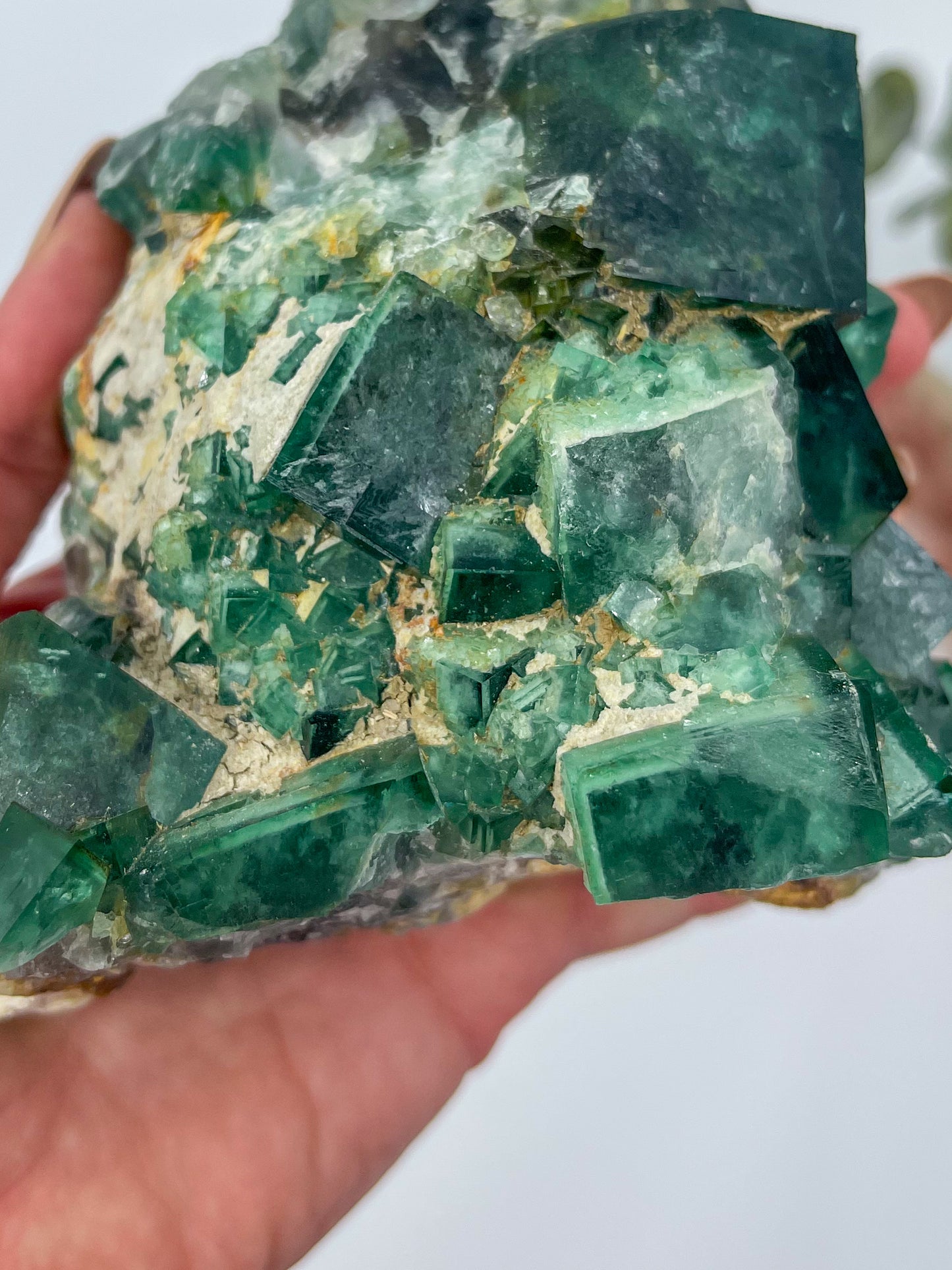 Statement Cubic Green Fluorite • Madagascar