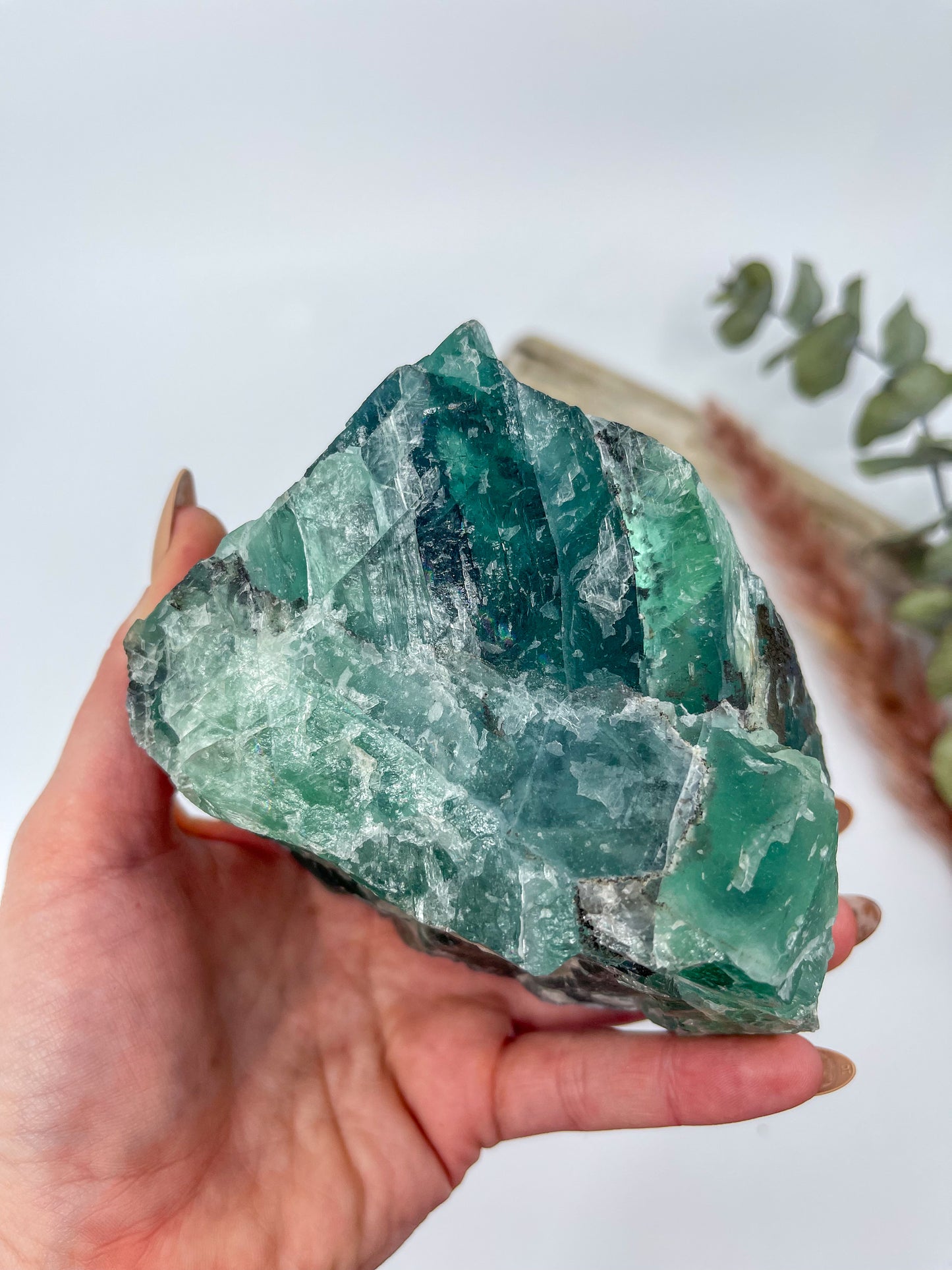 Statement Fluorite Raw • Durango, Mexico