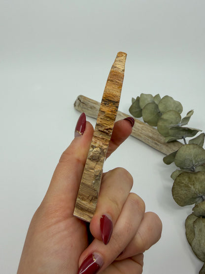 Petrified Wood Slab
