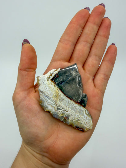 Mexican Lace Agate Slab