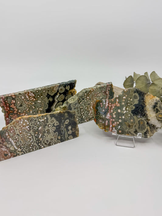 HQ Orbicular Ocean Jasper Slab -CHOOSE YOUR OWN-